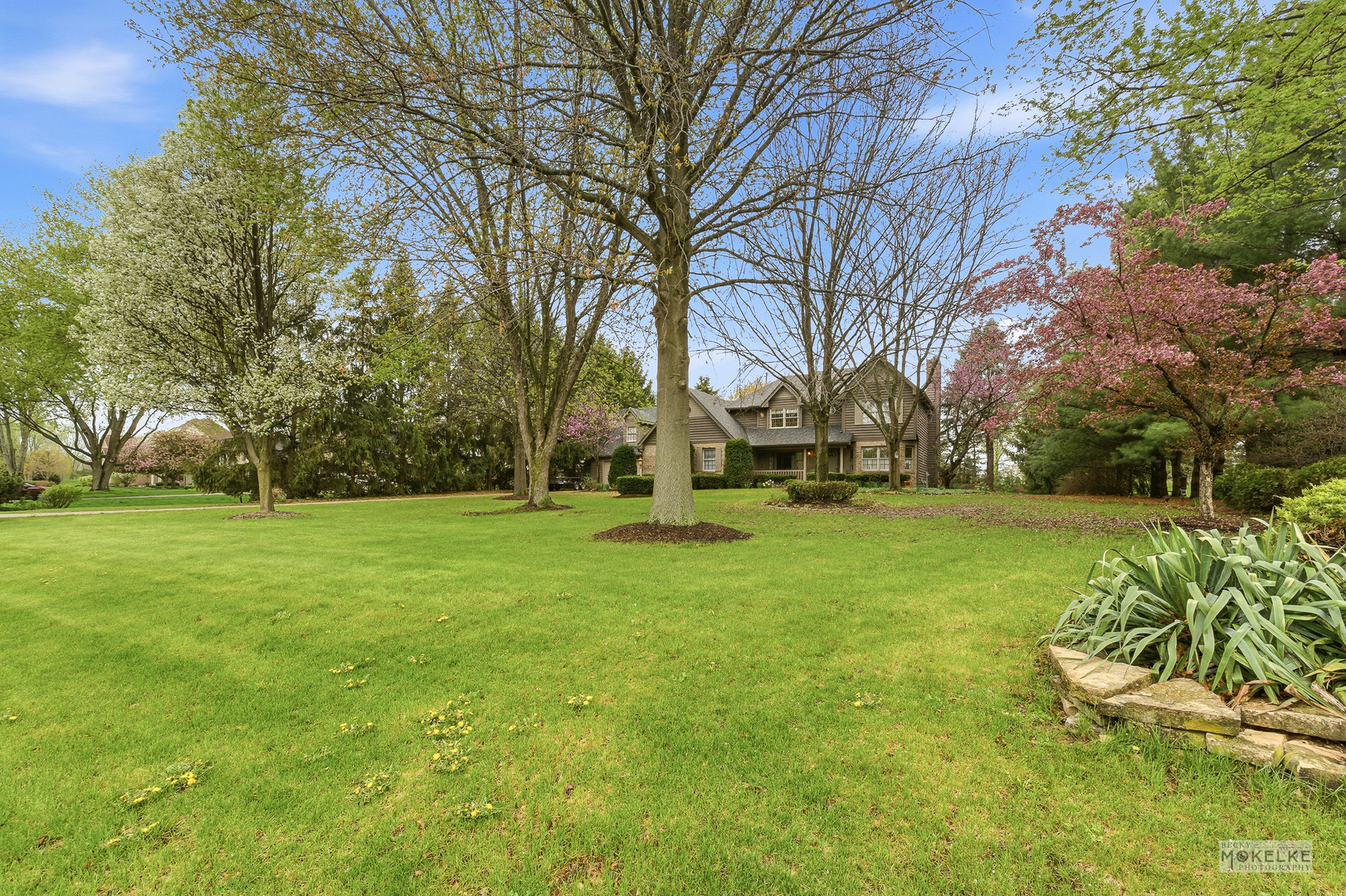 15 Timber View Lane, Yorkville, IL 60560