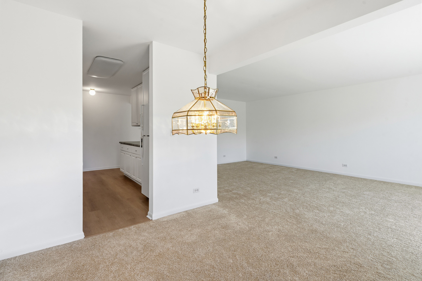 6818 Roberts Drive #3, Woodridge, IL 60517