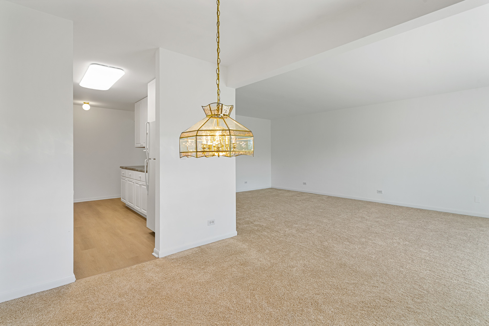 6818 Roberts Drive #3, Woodridge, IL 60517