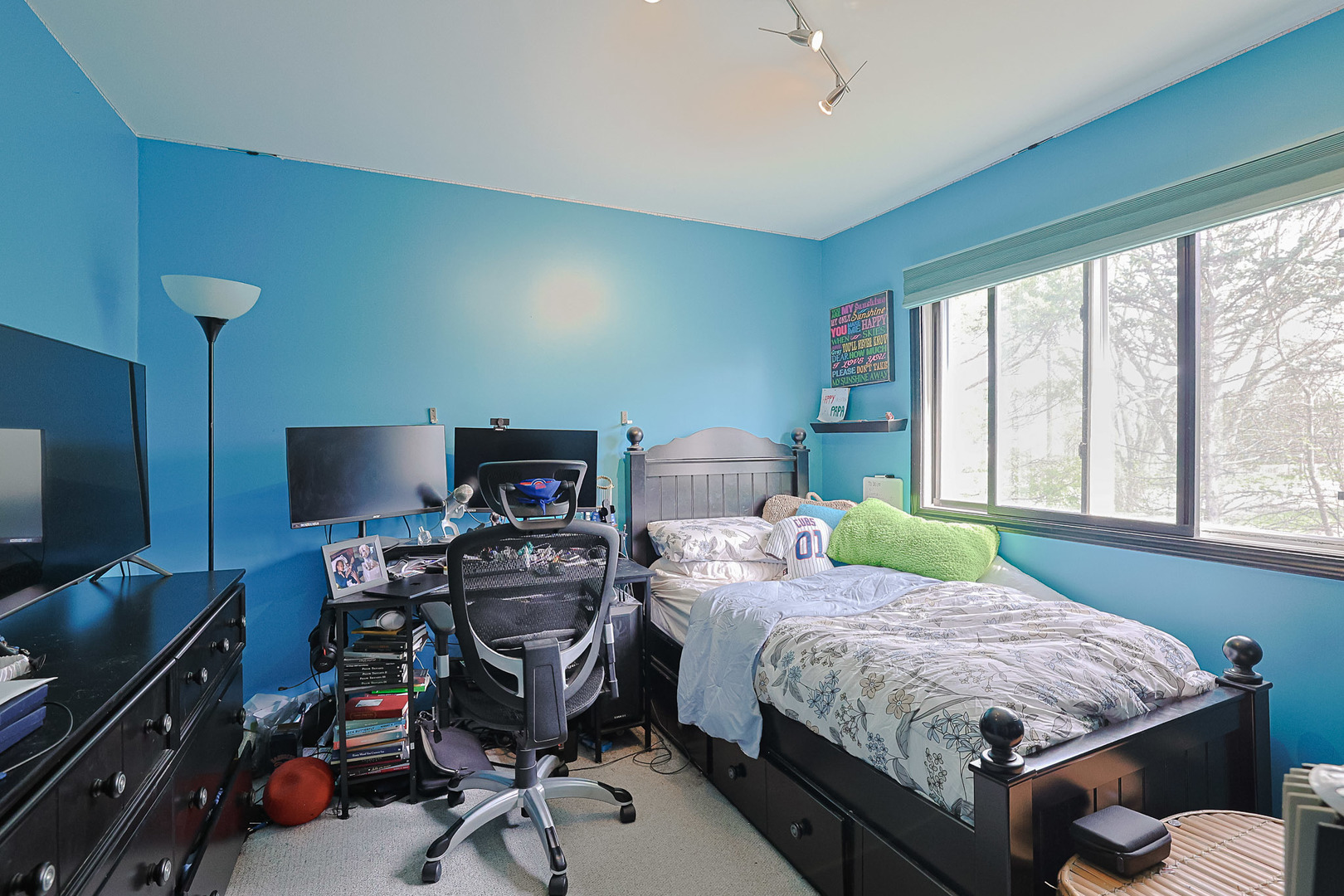 3 Chestnut Terrace, Buffalo Grove, IL 60089