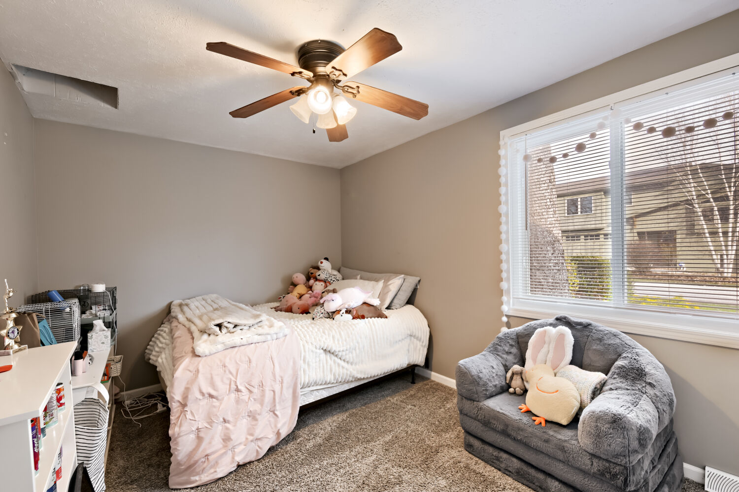 250 Beauteau Street, Lake Zurich, IL 60047