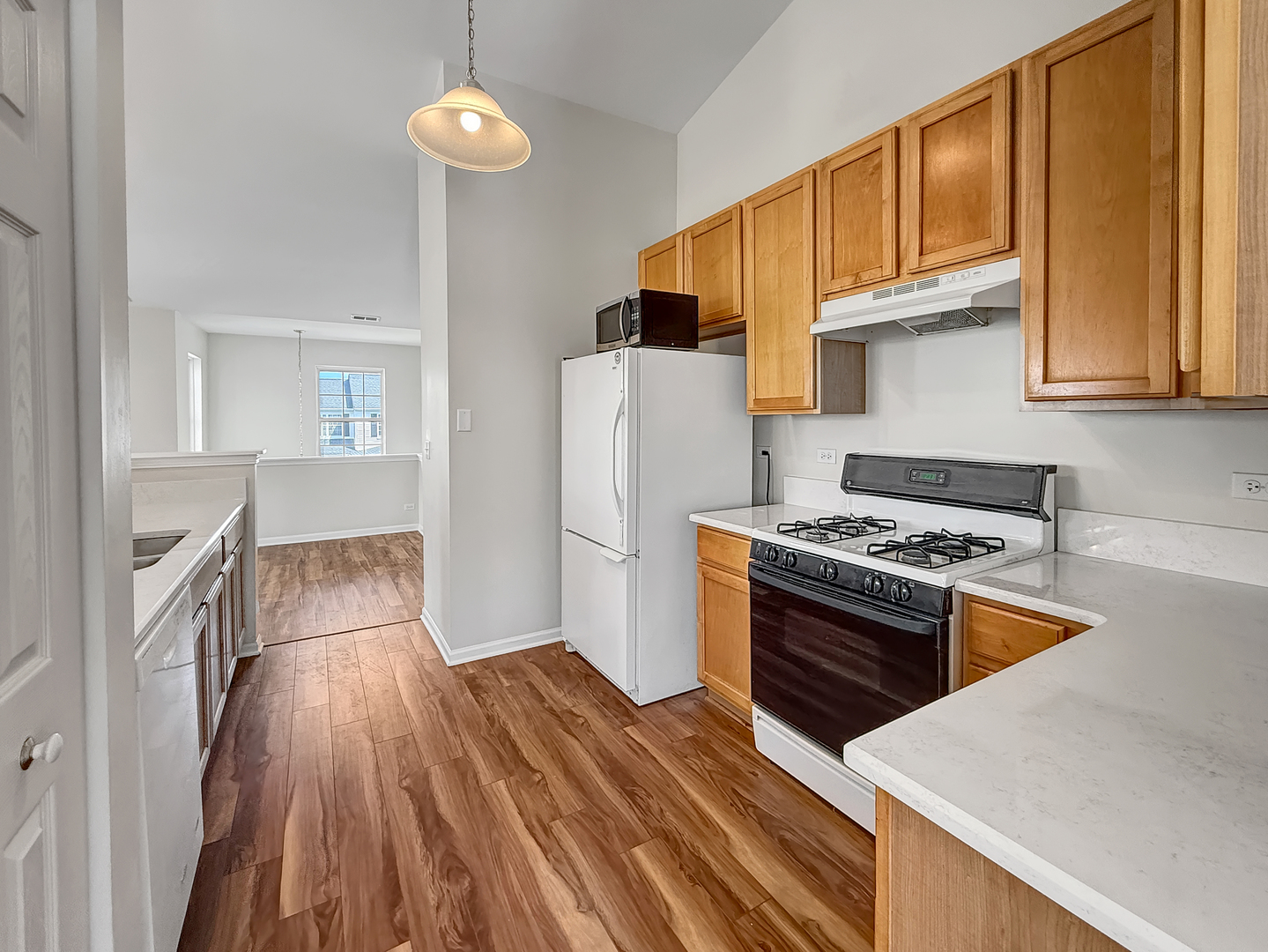 3078 Falling Waters Lane #3078, Lindenhurst, IL 60046