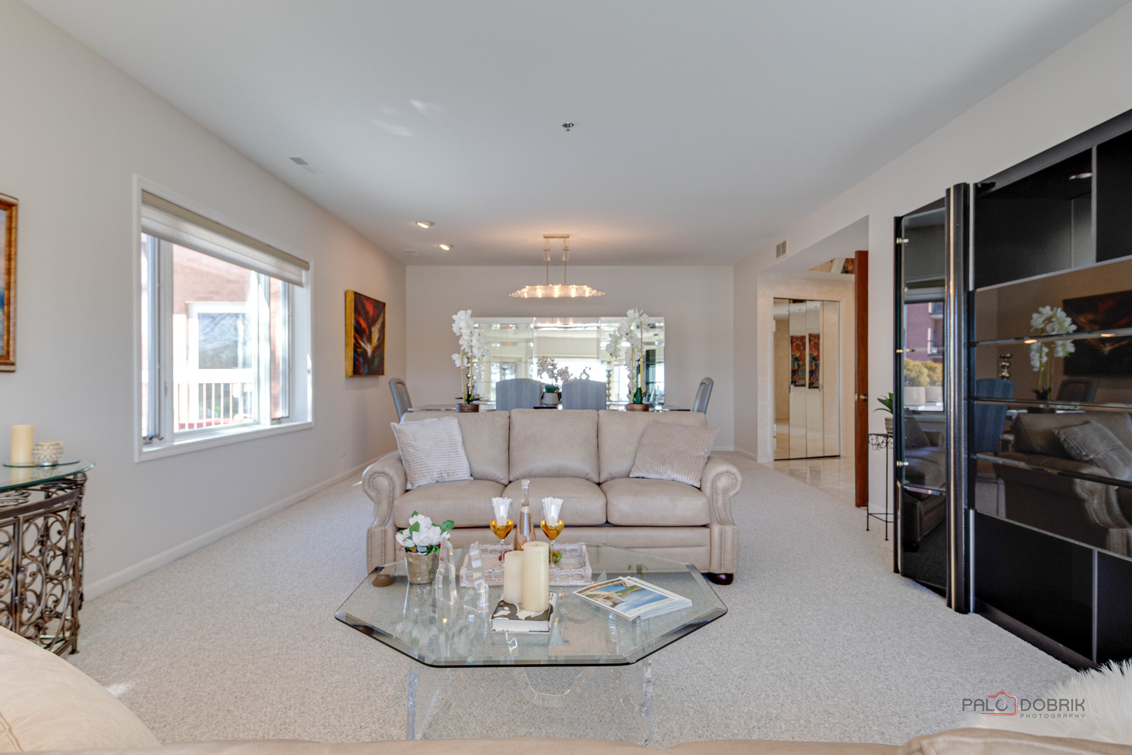 209 Rivershire Lane #203, Lincolnshire, IL 60069