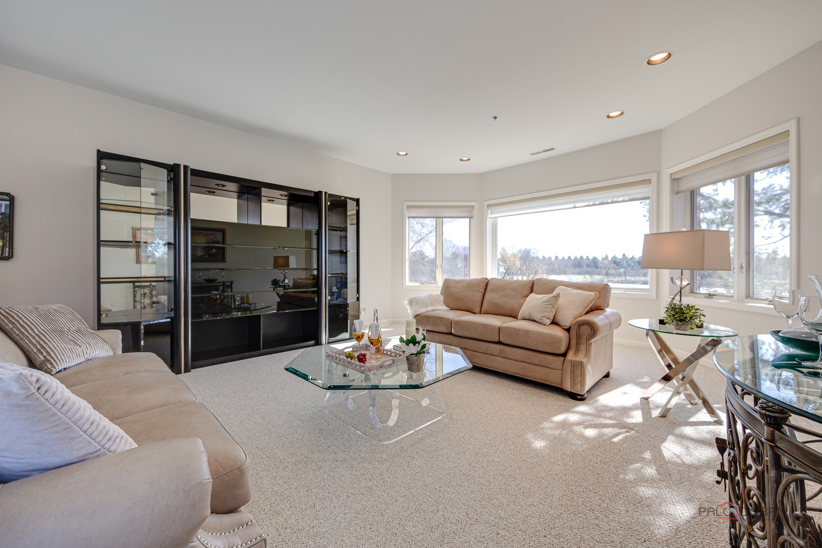 209 Rivershire Lane #203, Lincolnshire, IL 60069