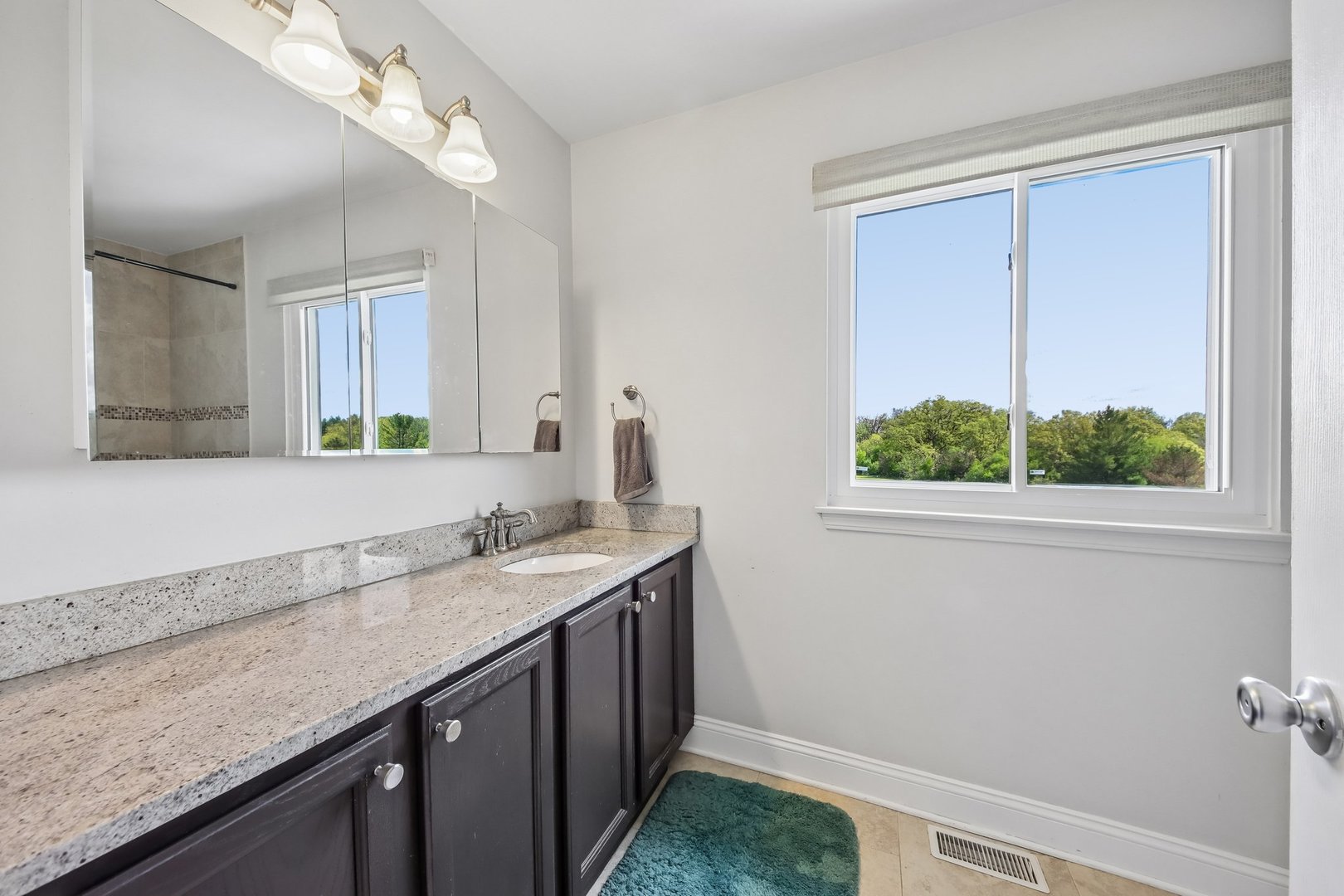 254 W Holly Court, Round Lake, IL 60073