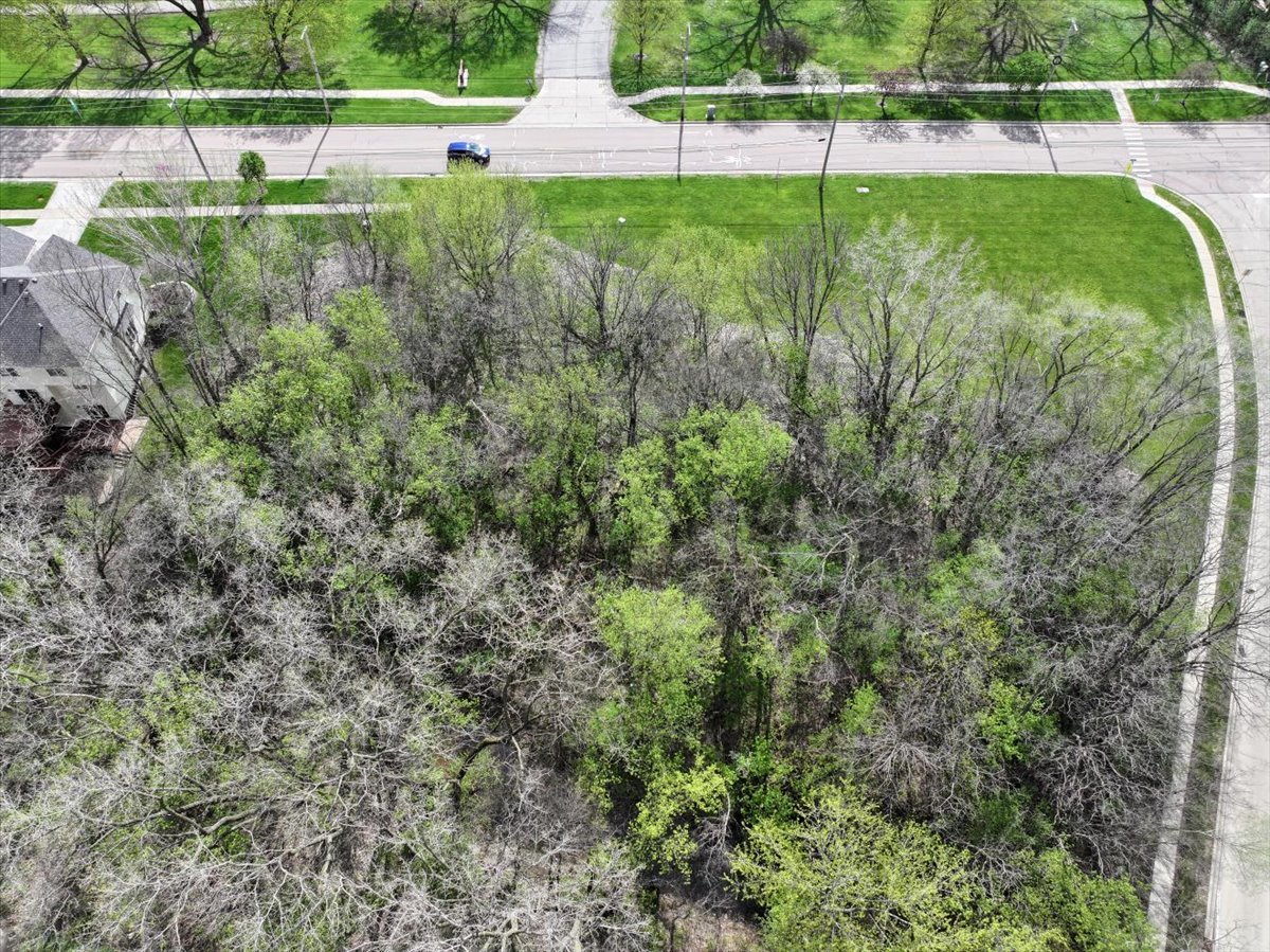 1009 S 9th Avenue, St. Charles, IL 60174