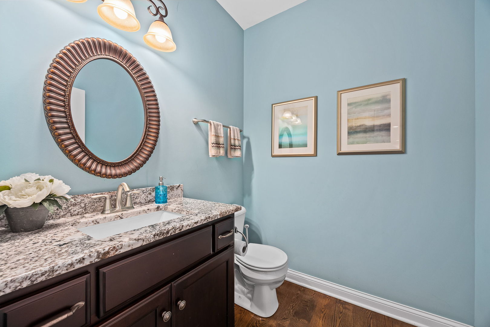 4211 Chinaberry Lane, Naperville, IL 60564