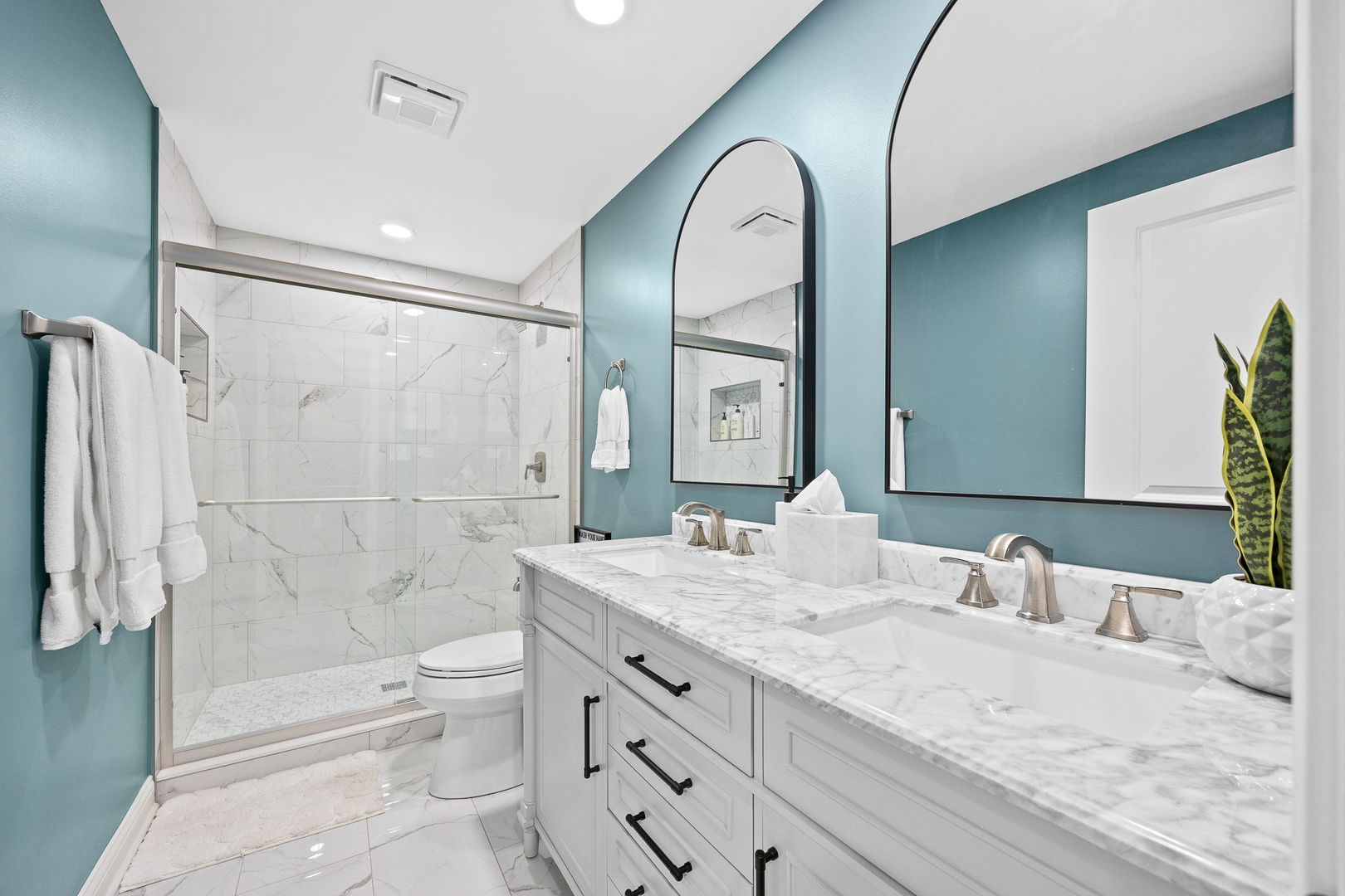 4211 Chinaberry Lane, Naperville, IL 60564