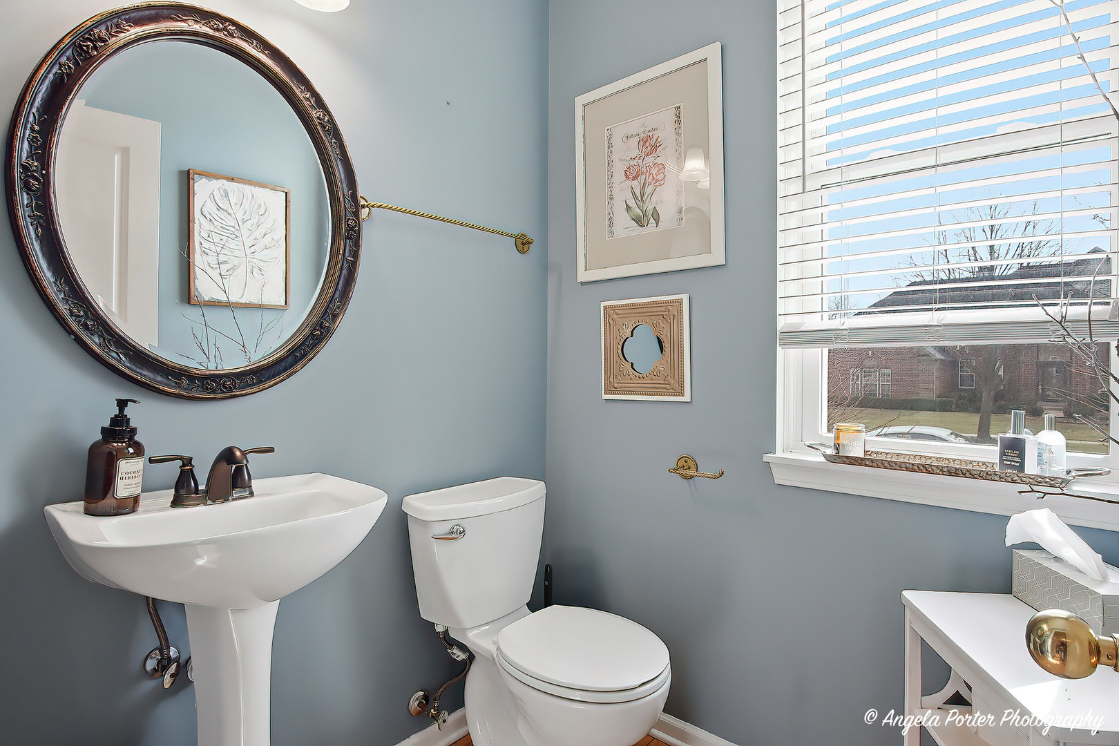 491 Saratoga Circle, Algonquin, IL 60102