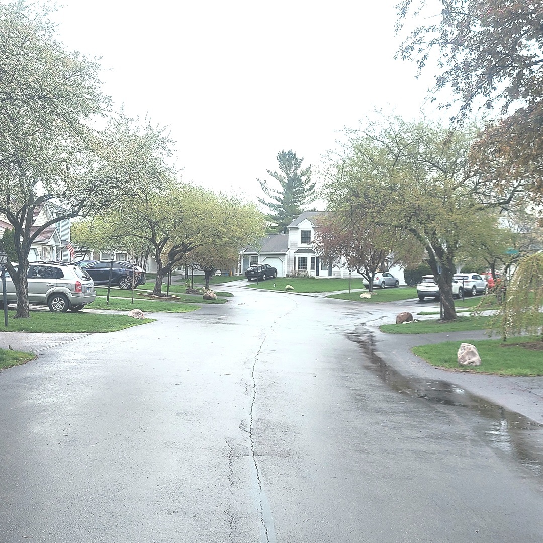 617 Yale Lane #617, Island Lake, IL 60042