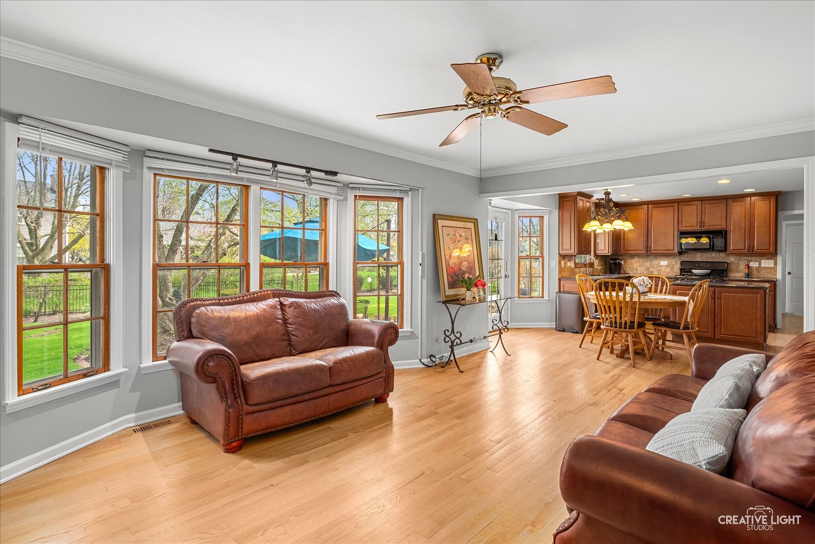 1628 Westminster Drive, Naperville, IL 60563