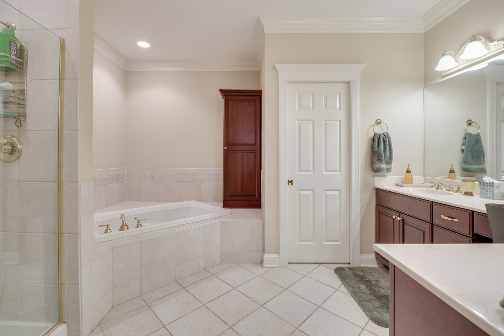 1789 Rizzi Lane, Bartlett, IL 60103