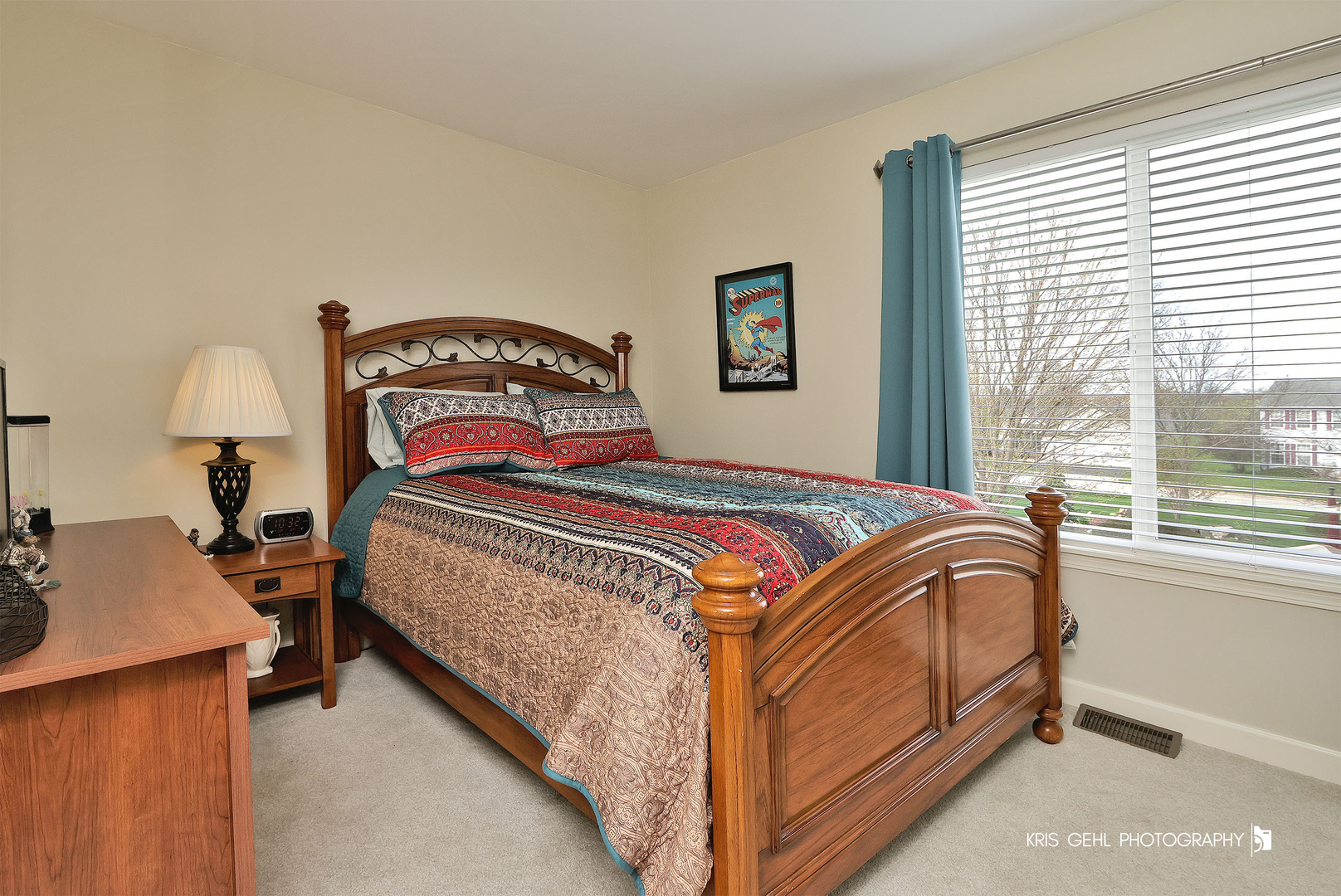 6517 Donegal Lane, McHenry, IL 60050