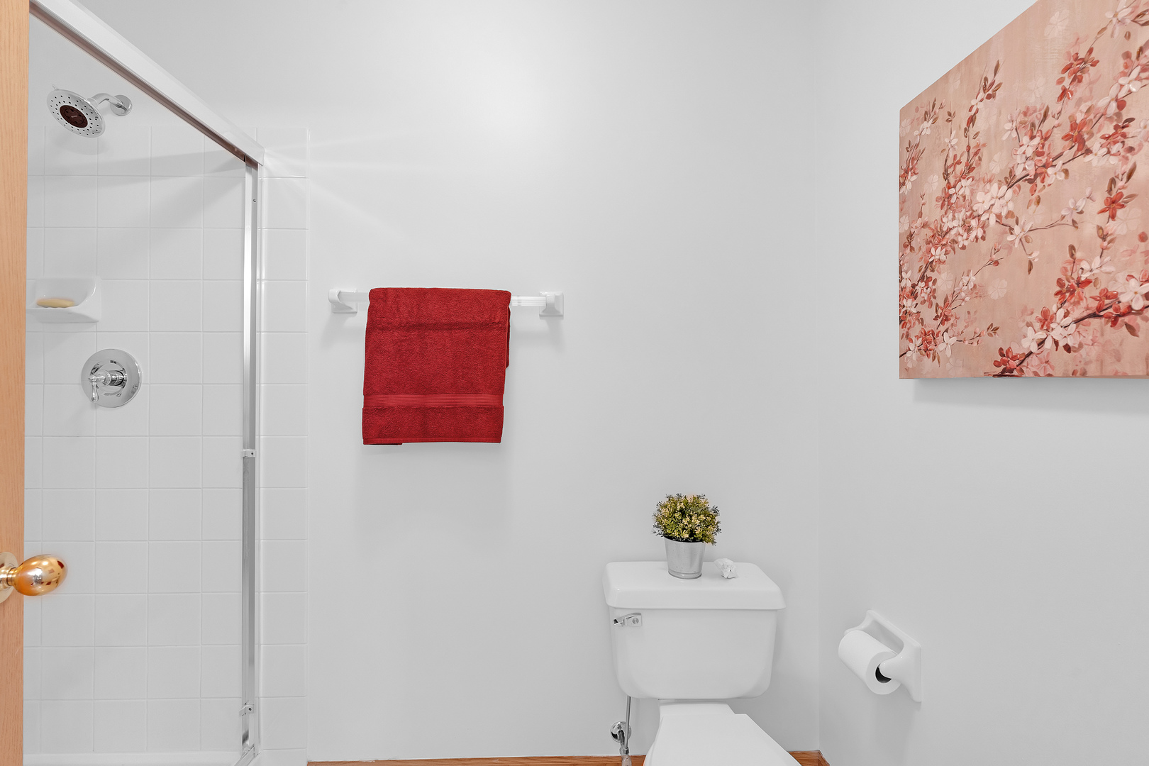 18 Meadow Court #18, Schaumburg, IL 60193