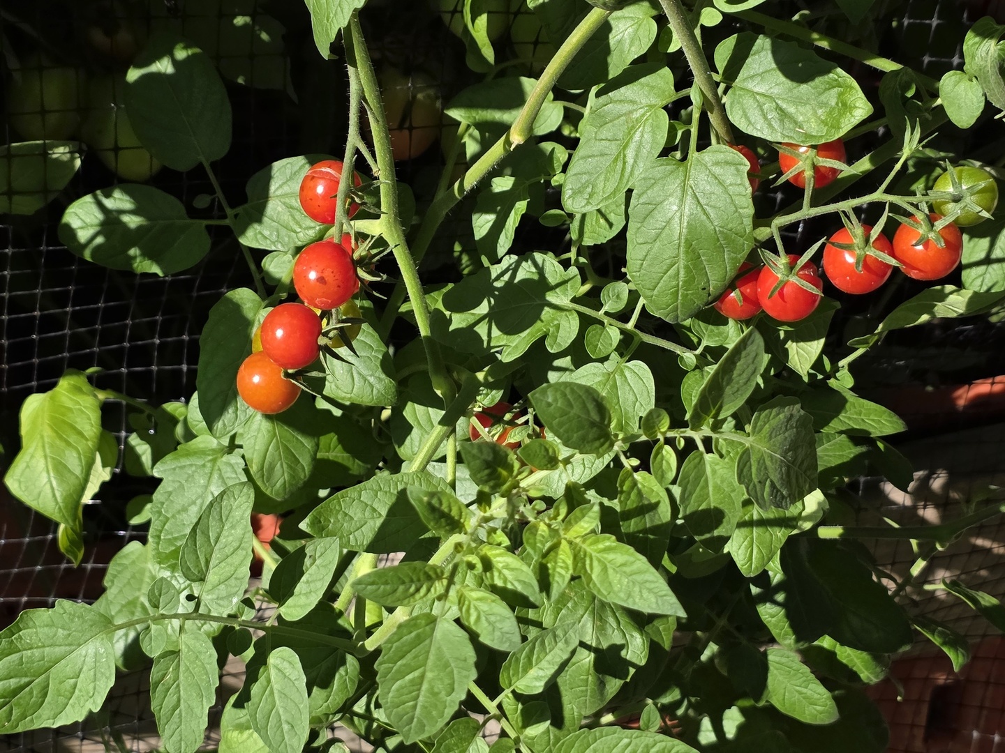 88 Gromer Road, Elgin, IL 60120