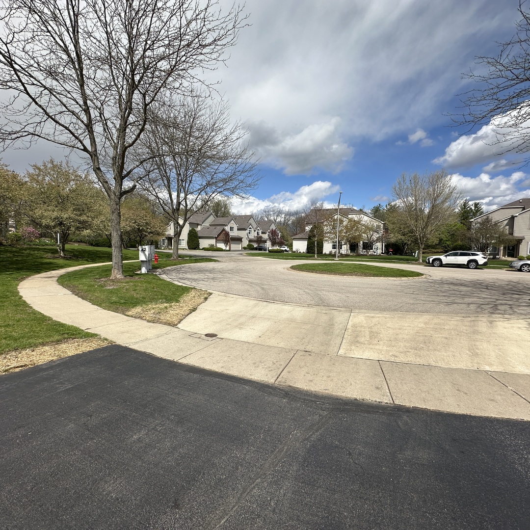 3503 Blue Ridge Court #3503, Carpentersville, IL 60110