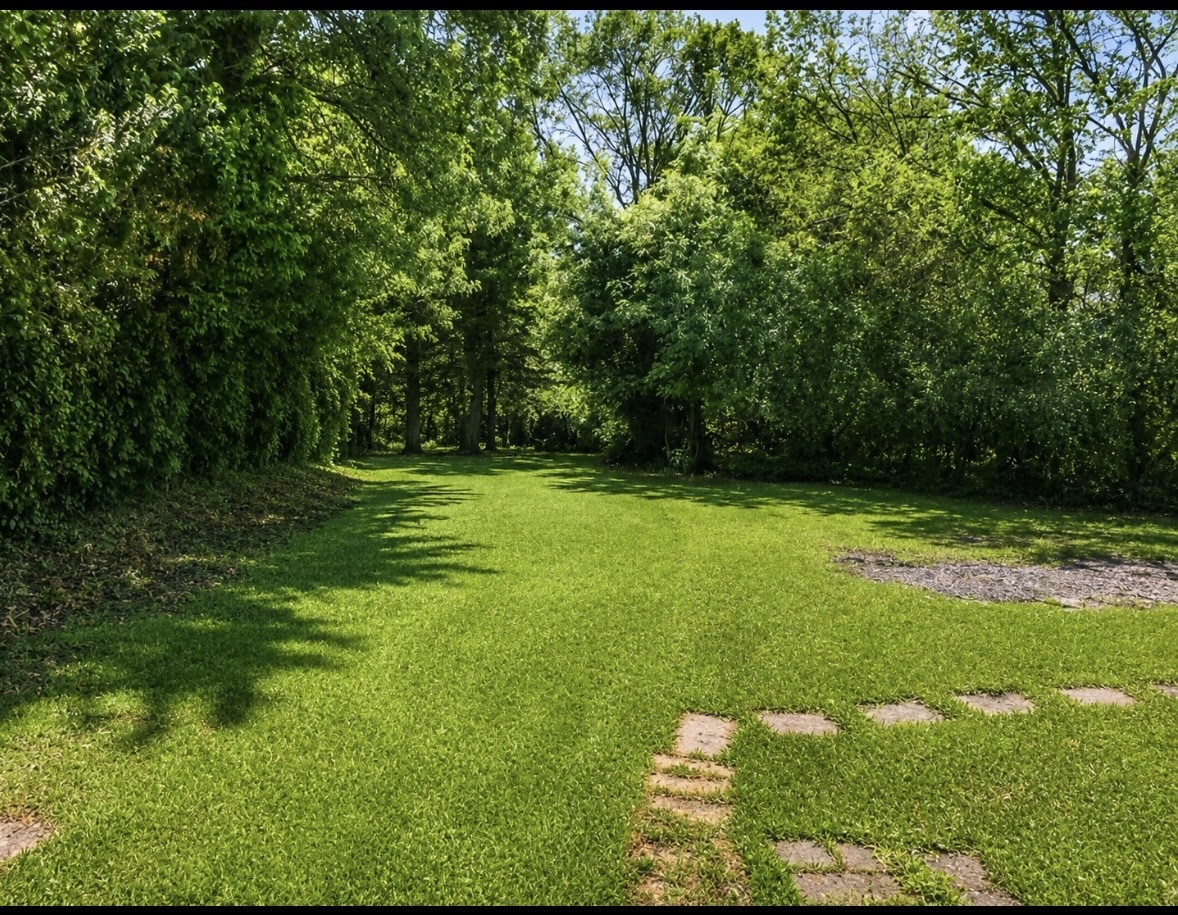 309 Landmeier Road, Elk Grove Village, IL 60007