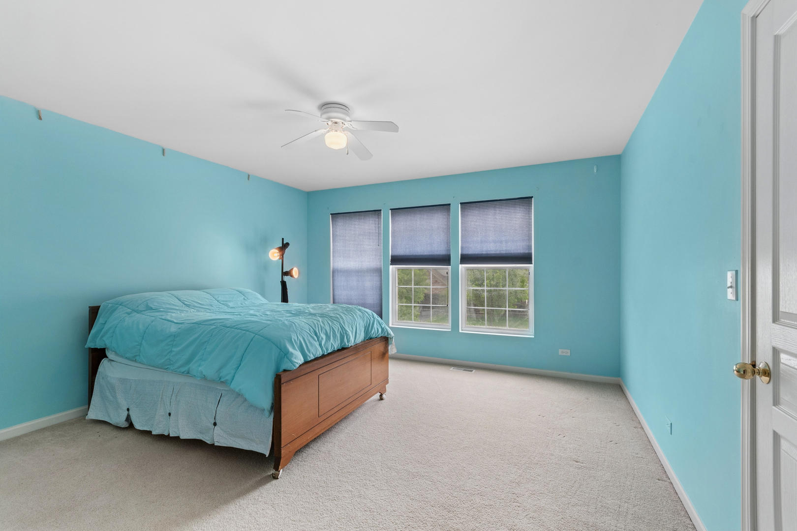 24132 Norfolk Lane, Plainfield, IL 60585