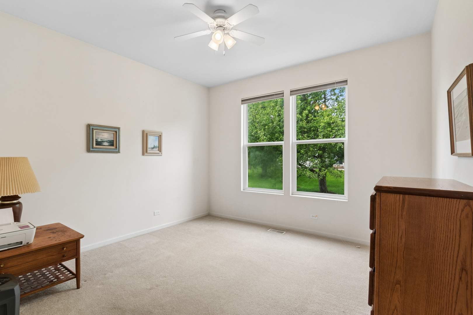 24132 Norfolk Lane, Plainfield, IL 60585