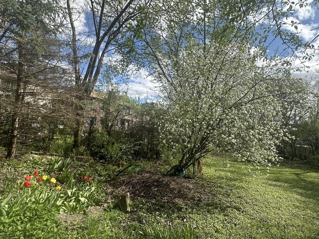 309 Landmeier Road, Elk Grove Village, IL 60007