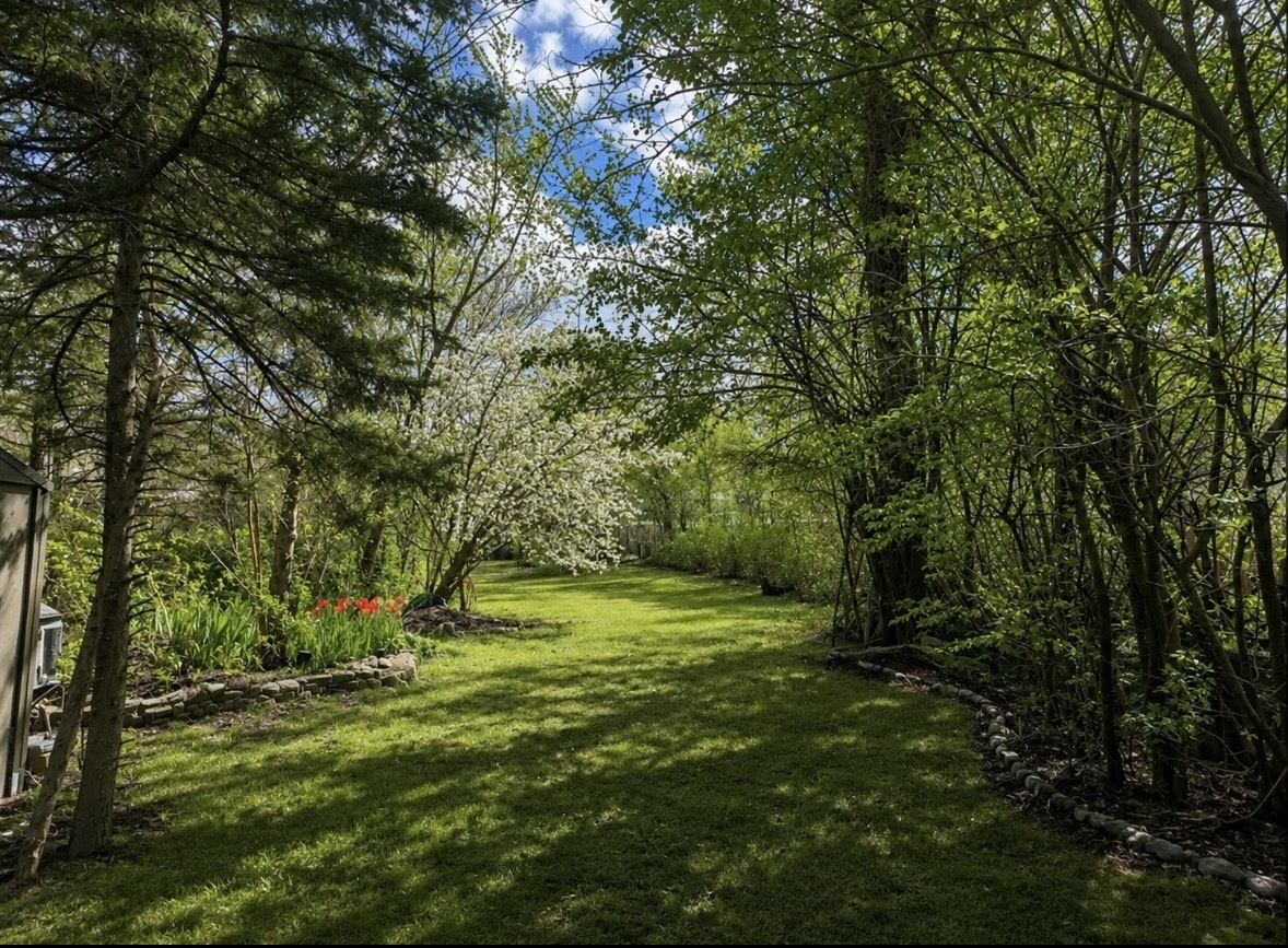 309 Landmeier Road, Elk Grove Village, IL 60007