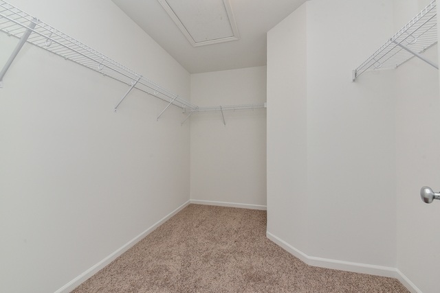 1263 Comiskey Avenue, North Aurora, IL 60542