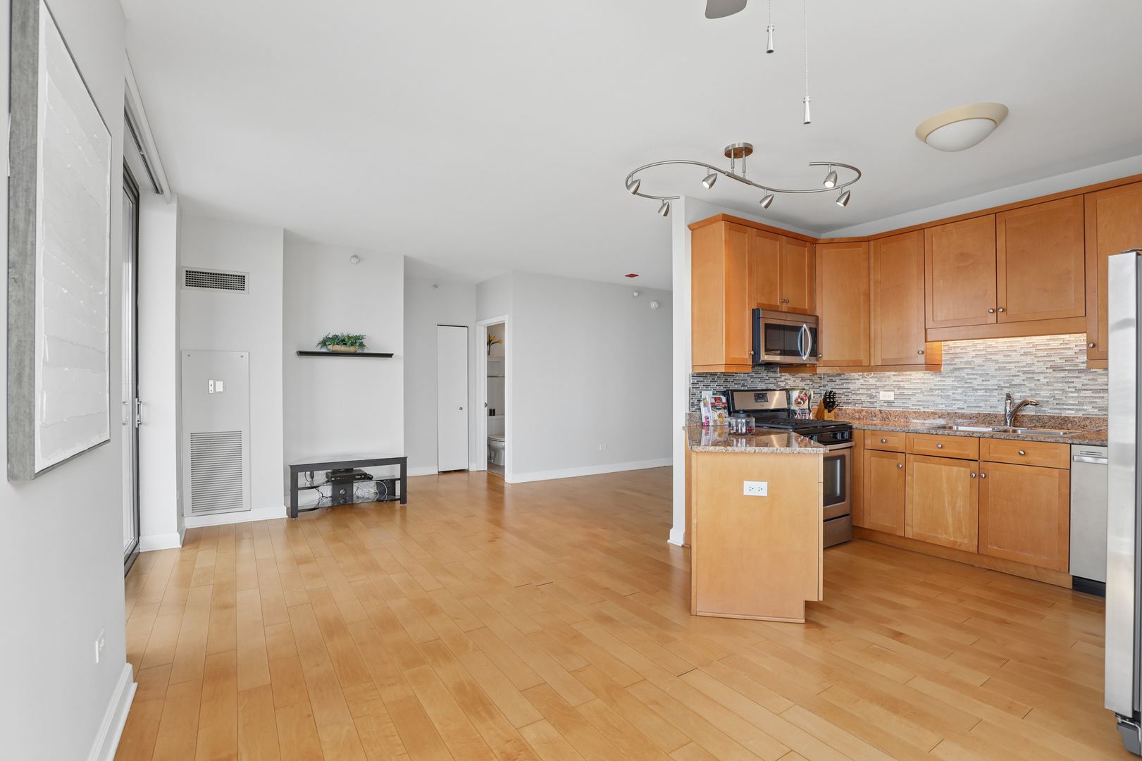 1101 S State Street #1607, Chicago, IL 60605