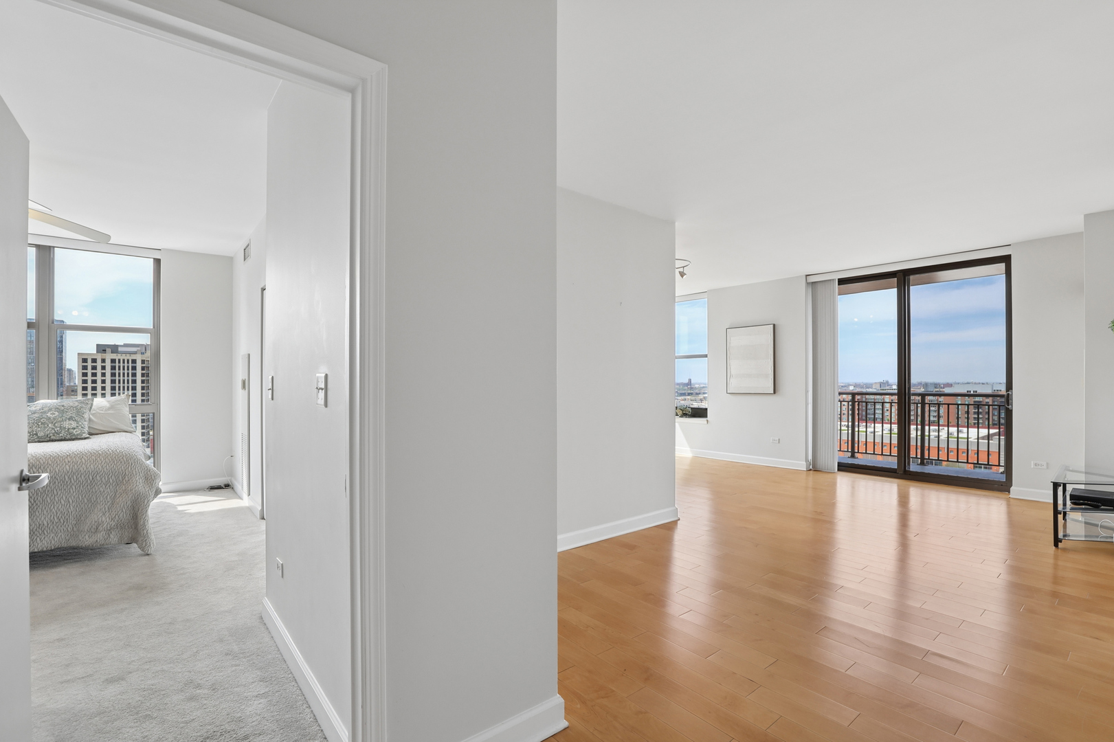 1101 S State Street #1607, Chicago, IL 60605