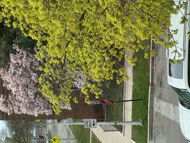 4058 W Dickens Avenue #2D, Chicago, IL 60639