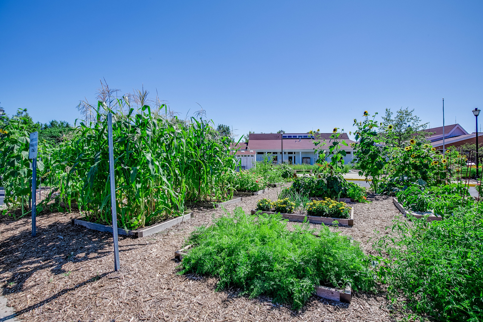 1024 Harris Road, Grayslake, IL 60030