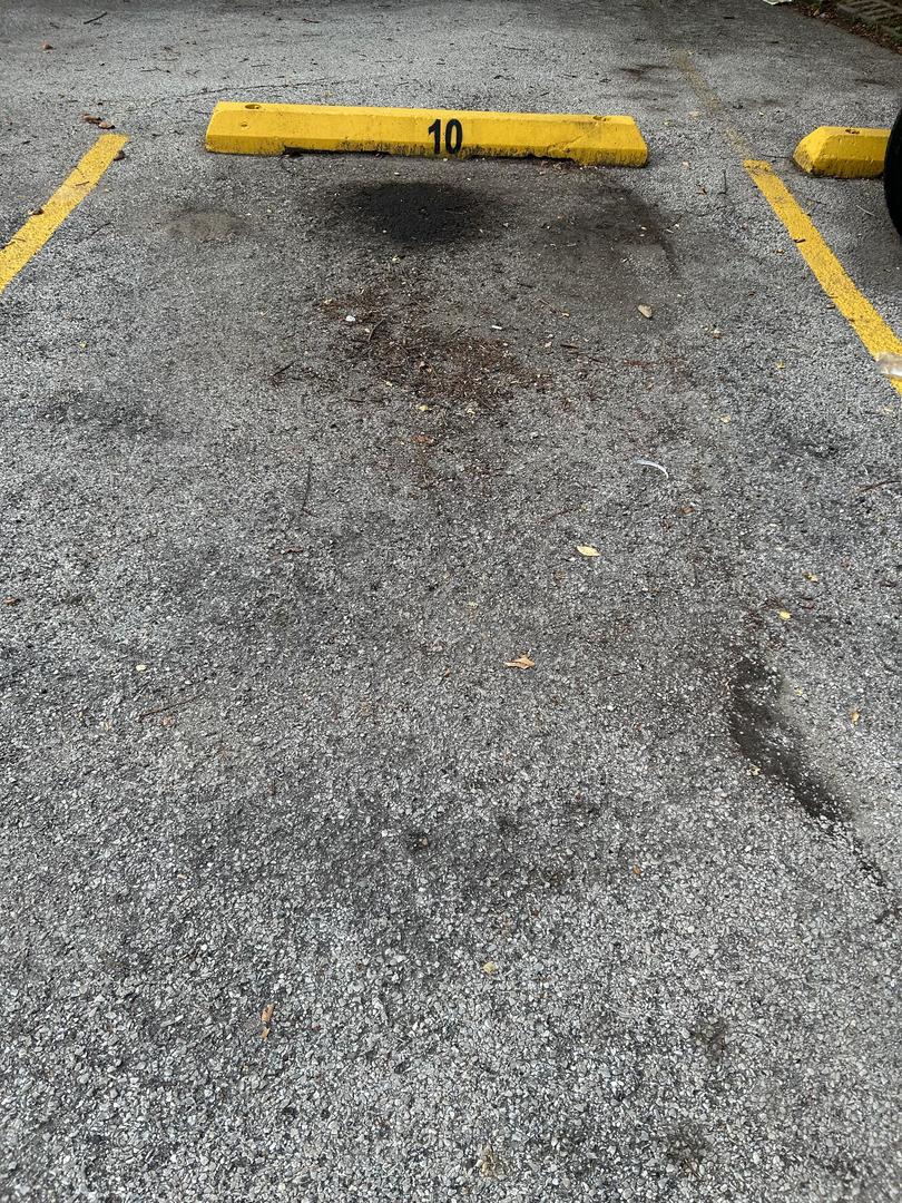 8847 La Crosse Avenue #204, Skokie, IL 60077