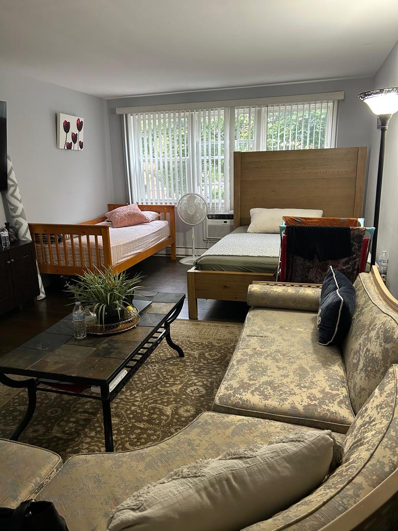 8847 La Crosse Avenue #204, Skokie, IL 60077