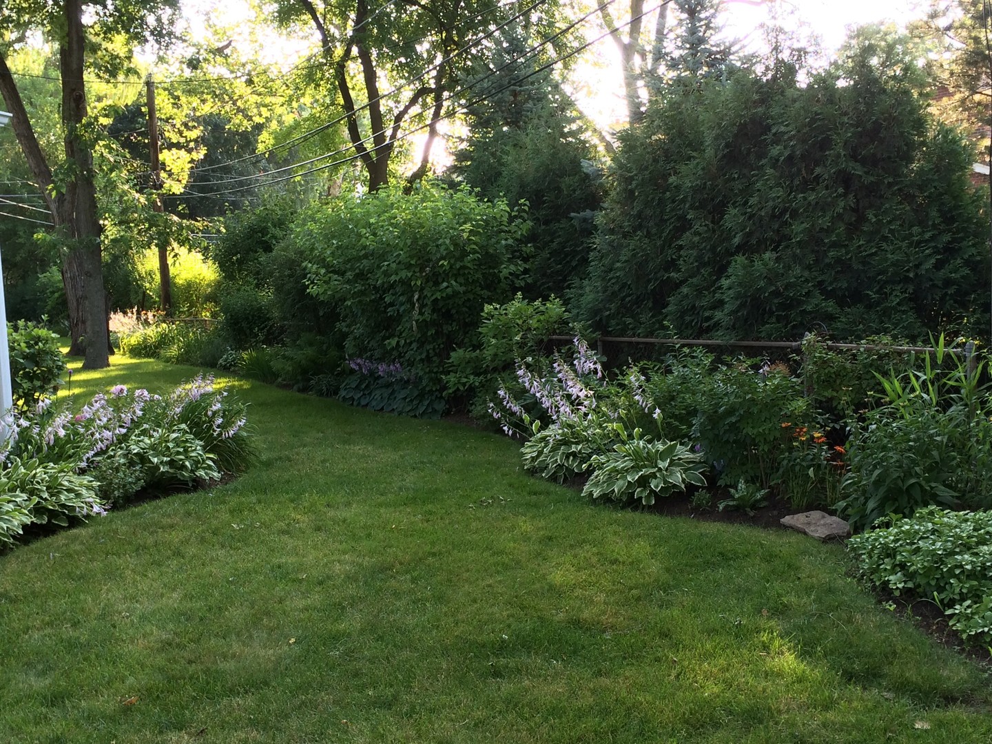 621 E Grove Street, Arlington Heights, IL 60005