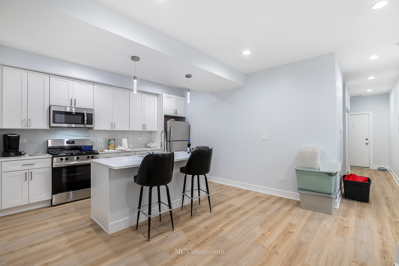 1713 S Jefferson Street, Chicago, IL 60616