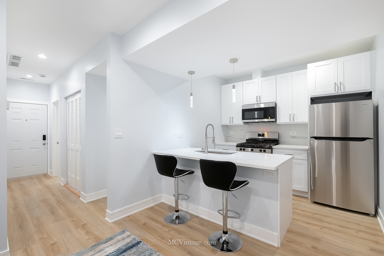 1713 S Jefferson Street, Chicago, IL 60616