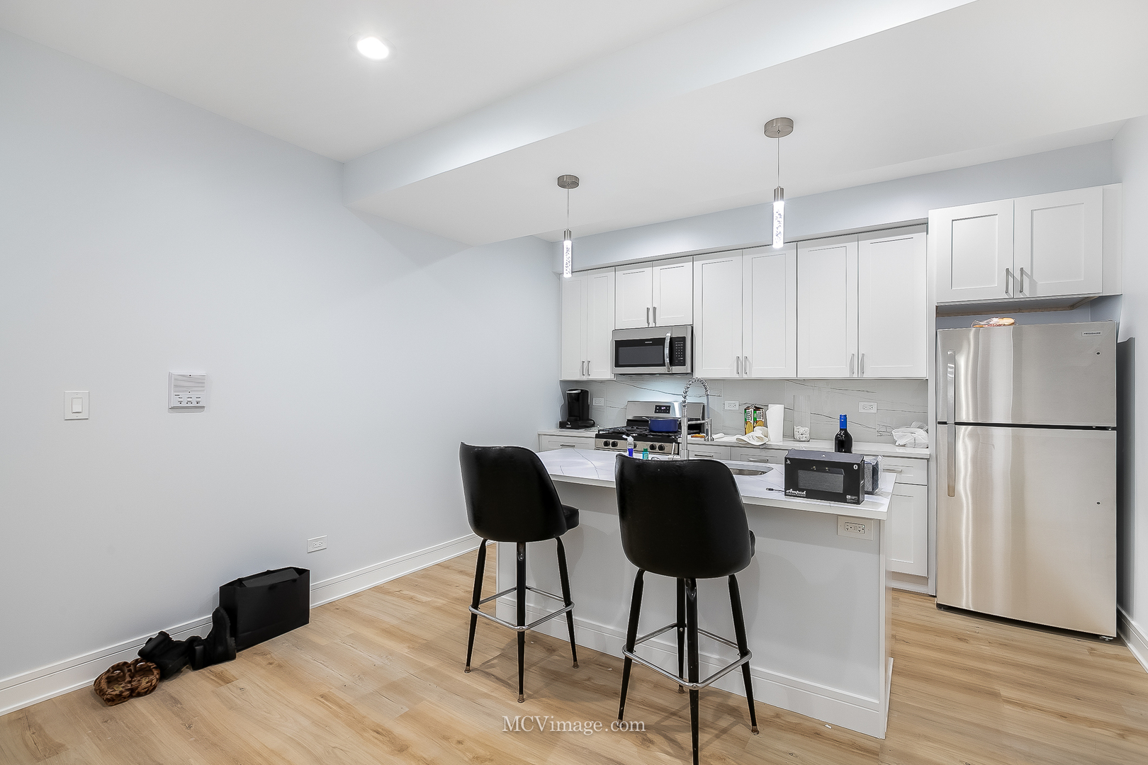 1713 S Jefferson Street, Chicago, IL 60616