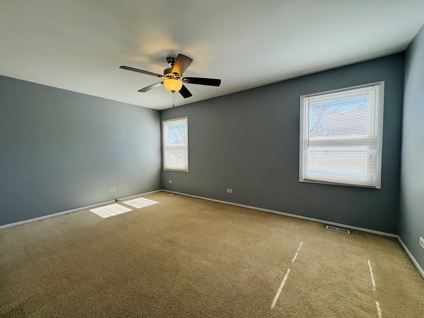 923 Daniels Court, Schaumburg, IL 60194