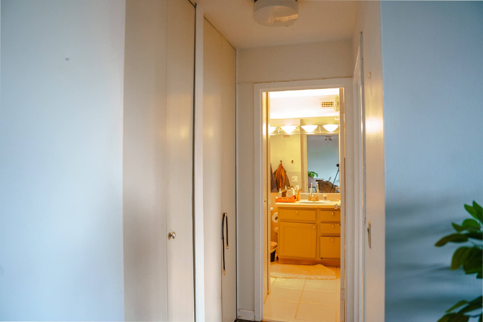 1560 N Sandburg Terrace #503J, Chicago, IL 60610