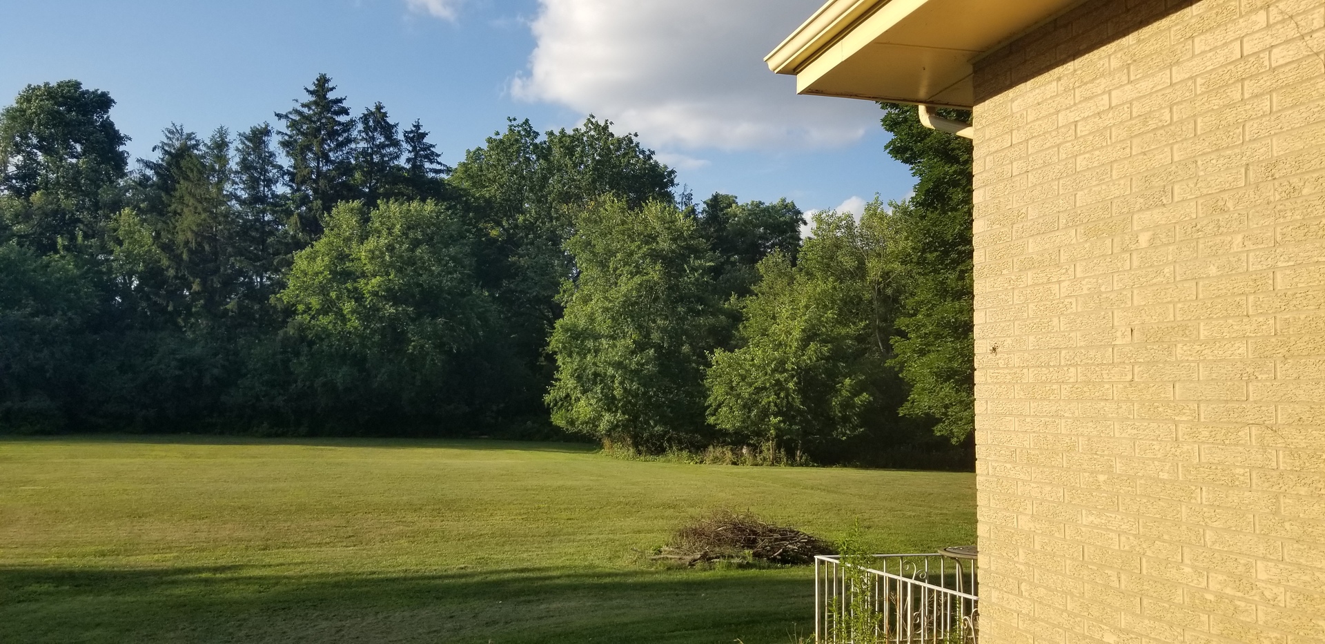 1220 83 Street, Downers Grove, IL 60516