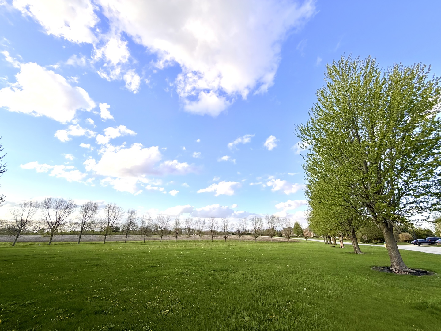 0 MERLOT BLANC Court, Bourbonnais, IL 60914
