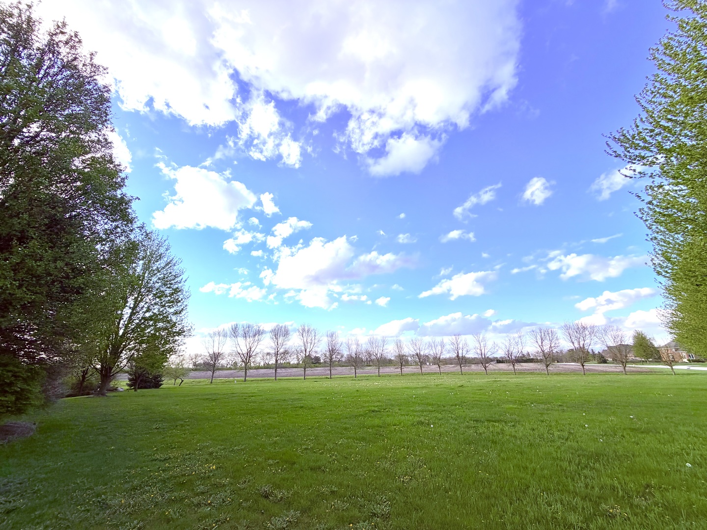 0 MERLOT BLANC Court, Bourbonnais, IL 60914