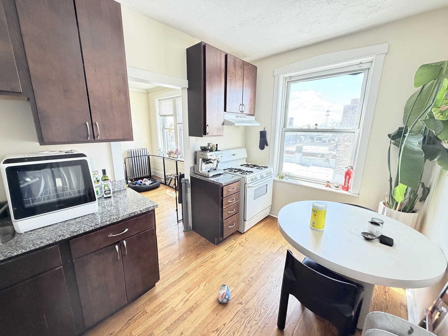 3155 W Augusta Boulevard #3B, Chicago, IL 60622