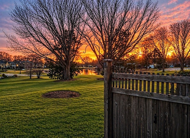 1477 S County Farm Road #1-1, Wheaton, IL 60189