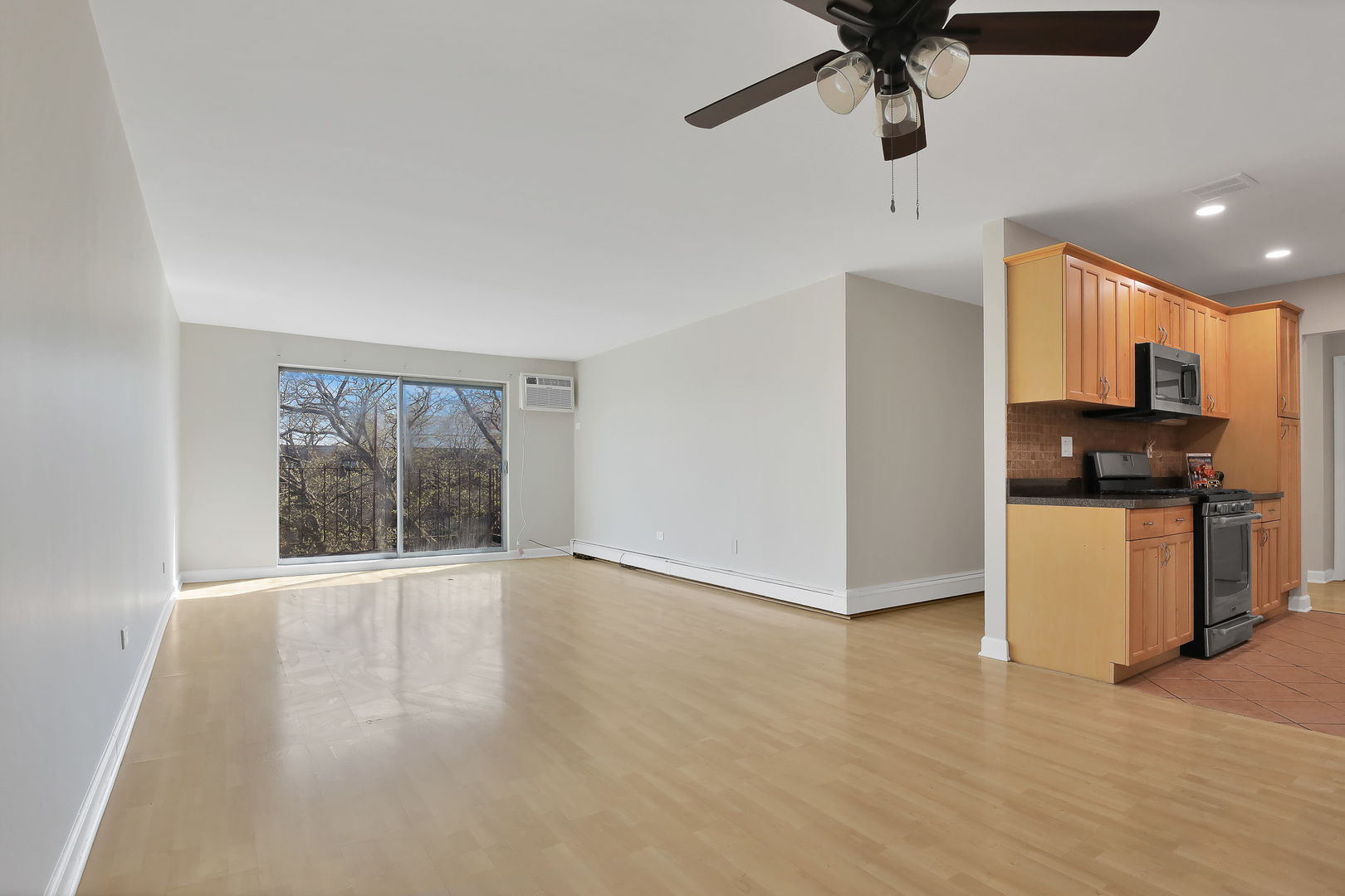 8970 N Parkside Avenue #418, Des Plaines, IL 60016