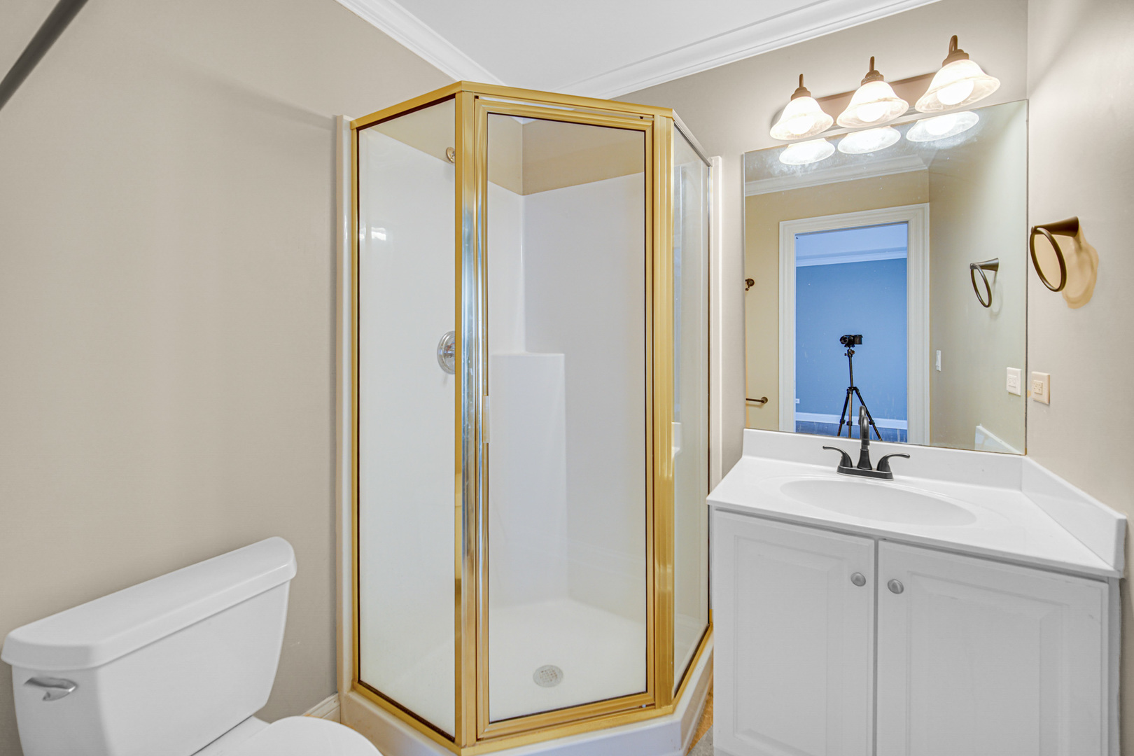 3N777 Walt Whitman Road, St. Charles, IL 60175