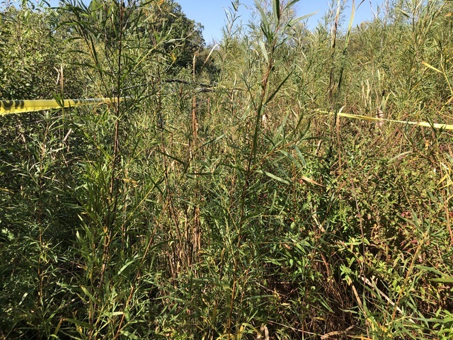 14 Alexandra Drive, Mettawa, IL 60048