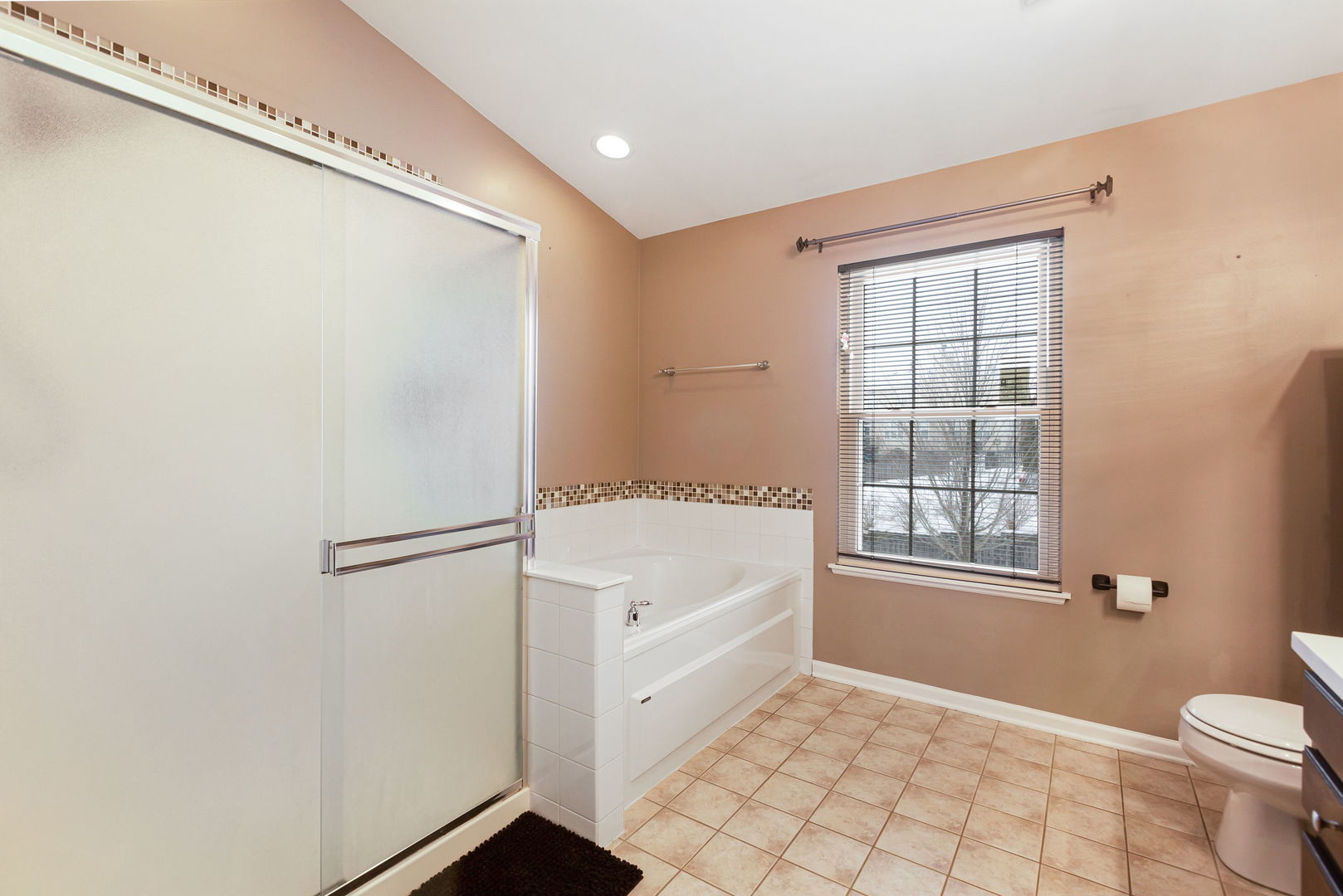 658 N Silver Leaf Lane, Round Lake, IL 60073