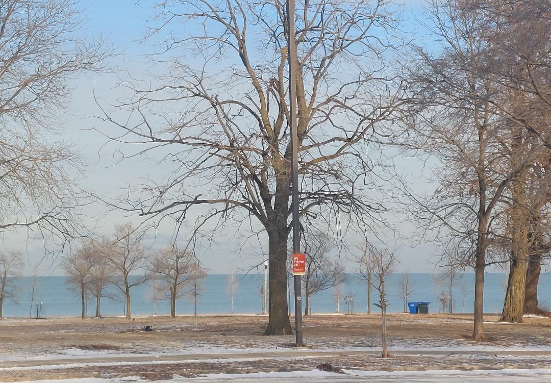 4625 S Michigan Avenue #1, Chicago, IL 60653