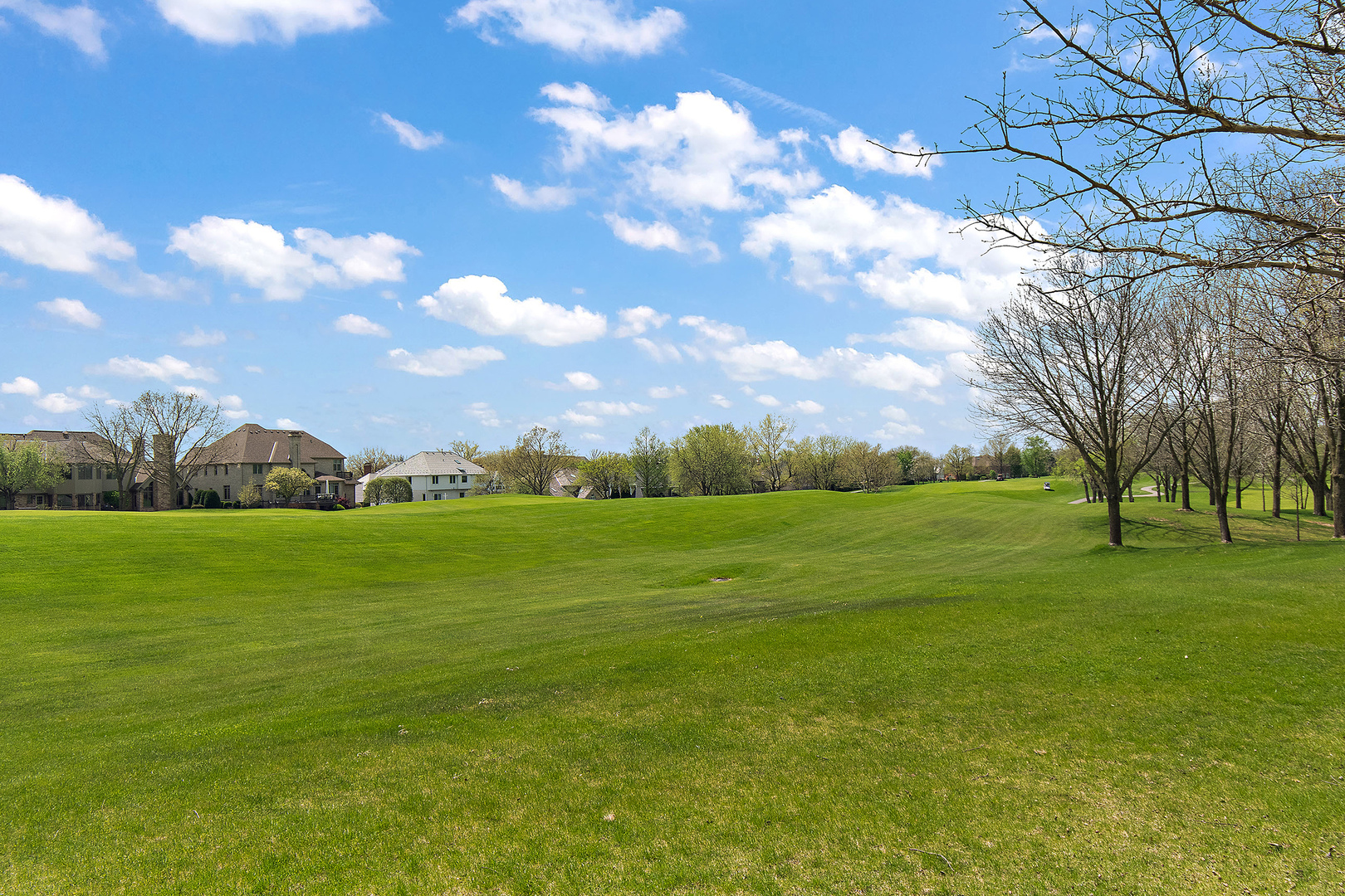 10555 Wildflower Road, Orland Park, IL 60462