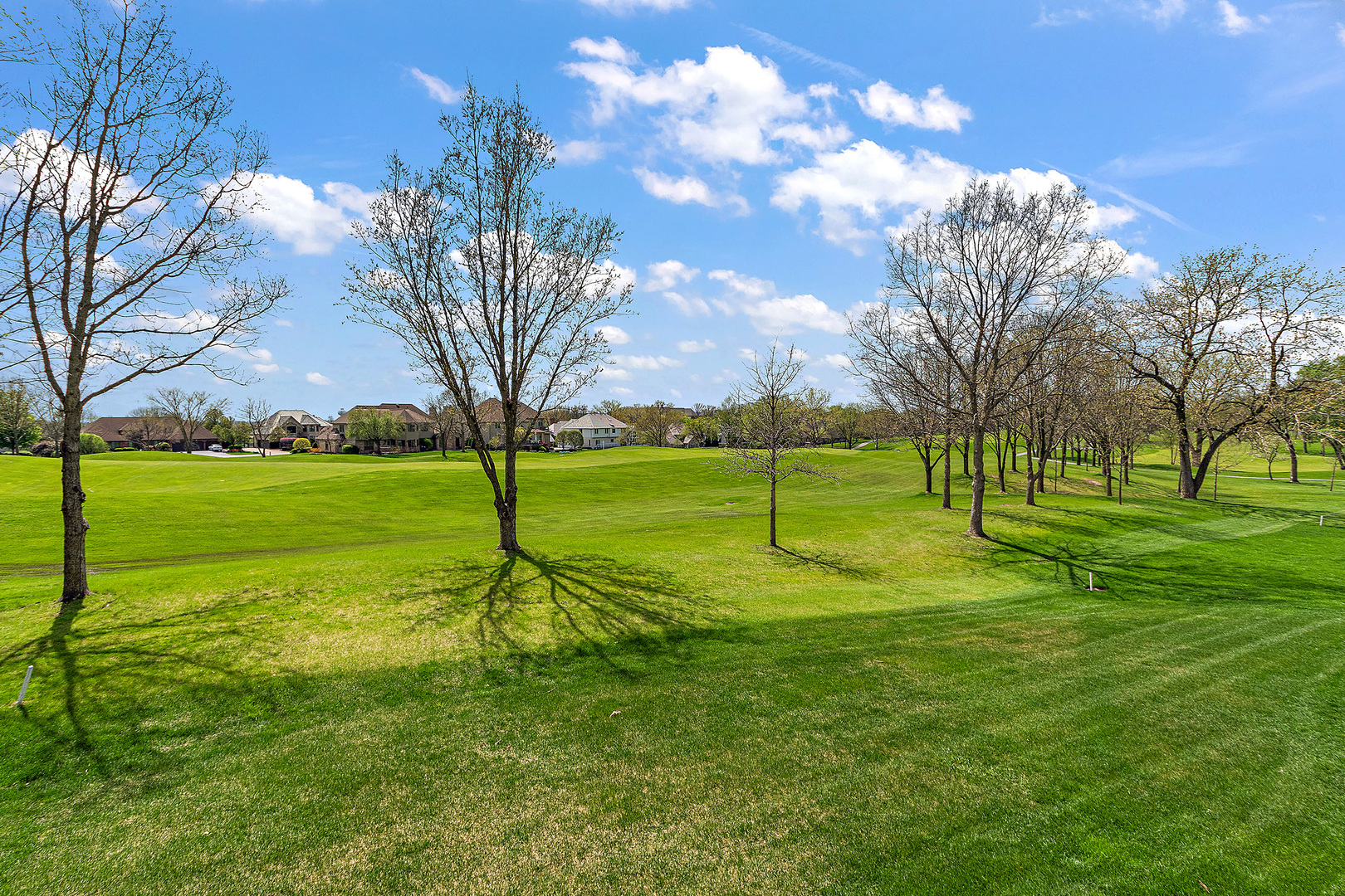 10555 Wildflower Road, Orland Park, IL 60462